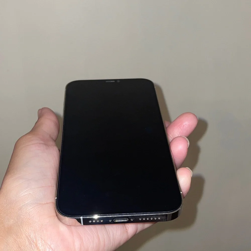Apple iPhone 12 Pro Max
